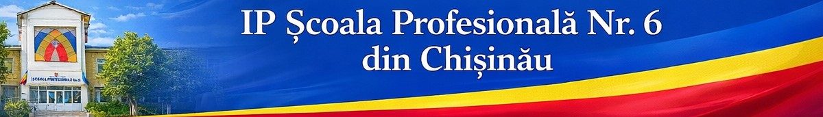 IP ȘCOALA PROFESIONALĂ NR.6